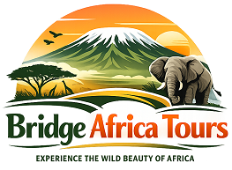Bridge Africa Tours