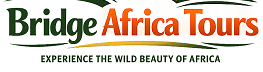 Bridge Africa Tours