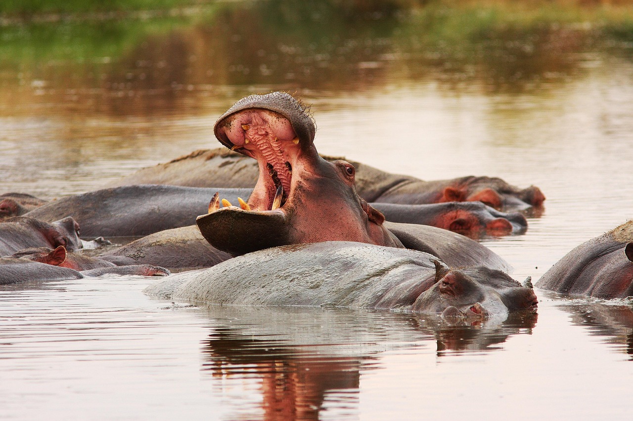 Lake Manyara